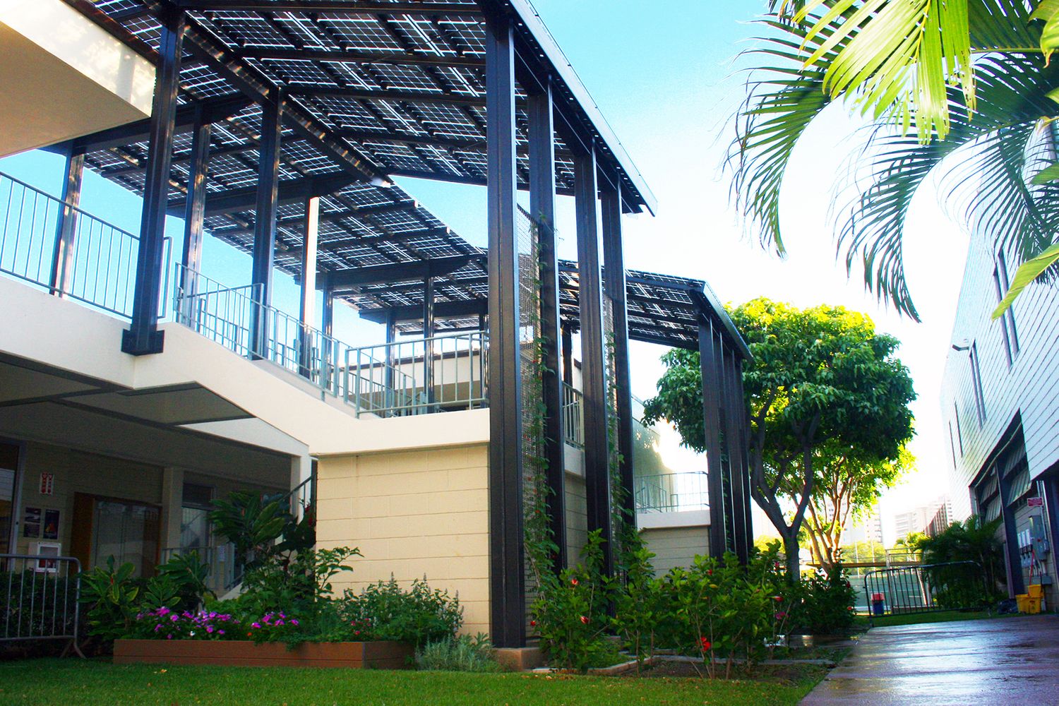 Iolani School Canopies
