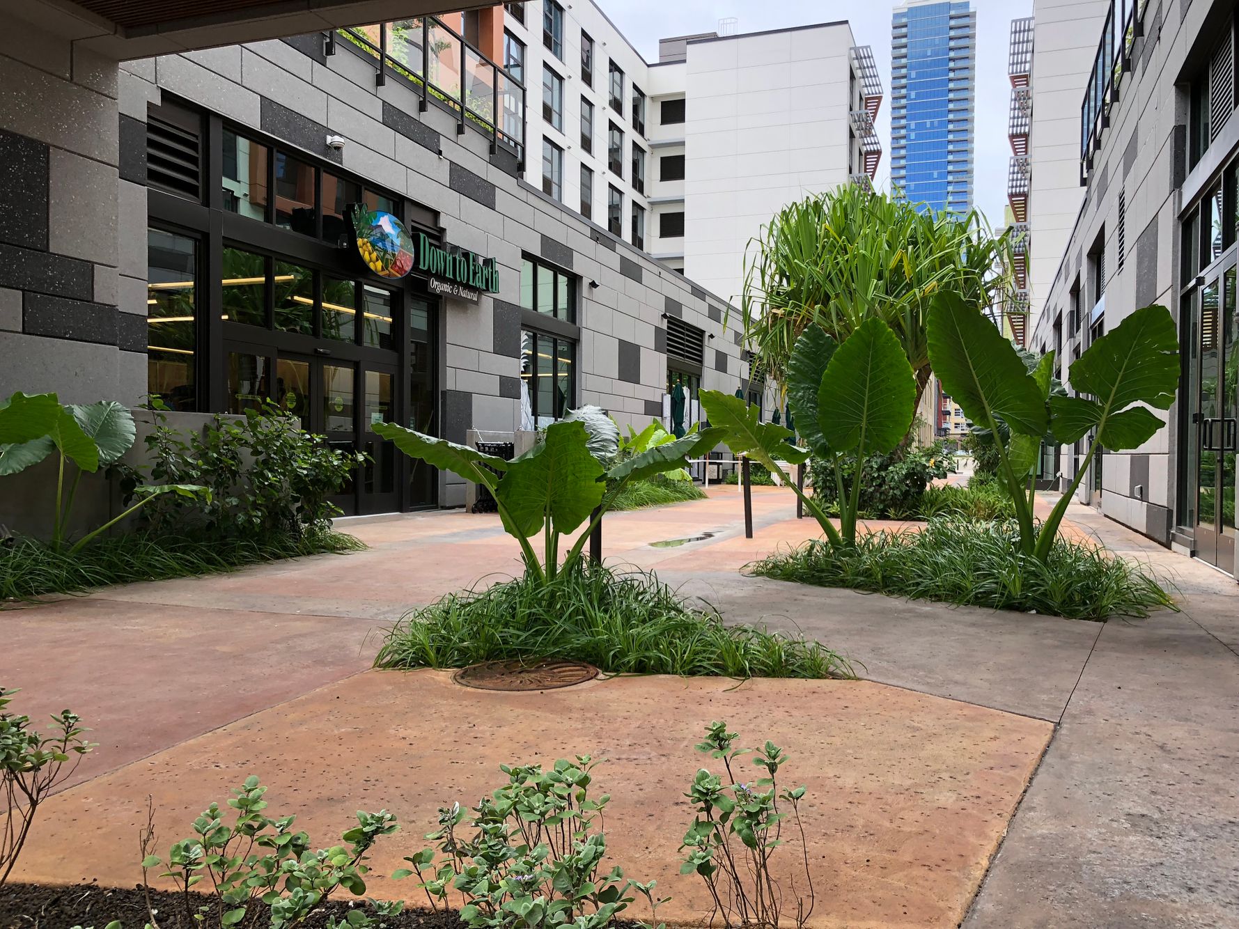 Open space
