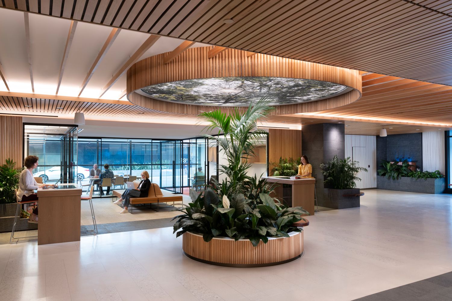 HSFCU Lobby biophilia