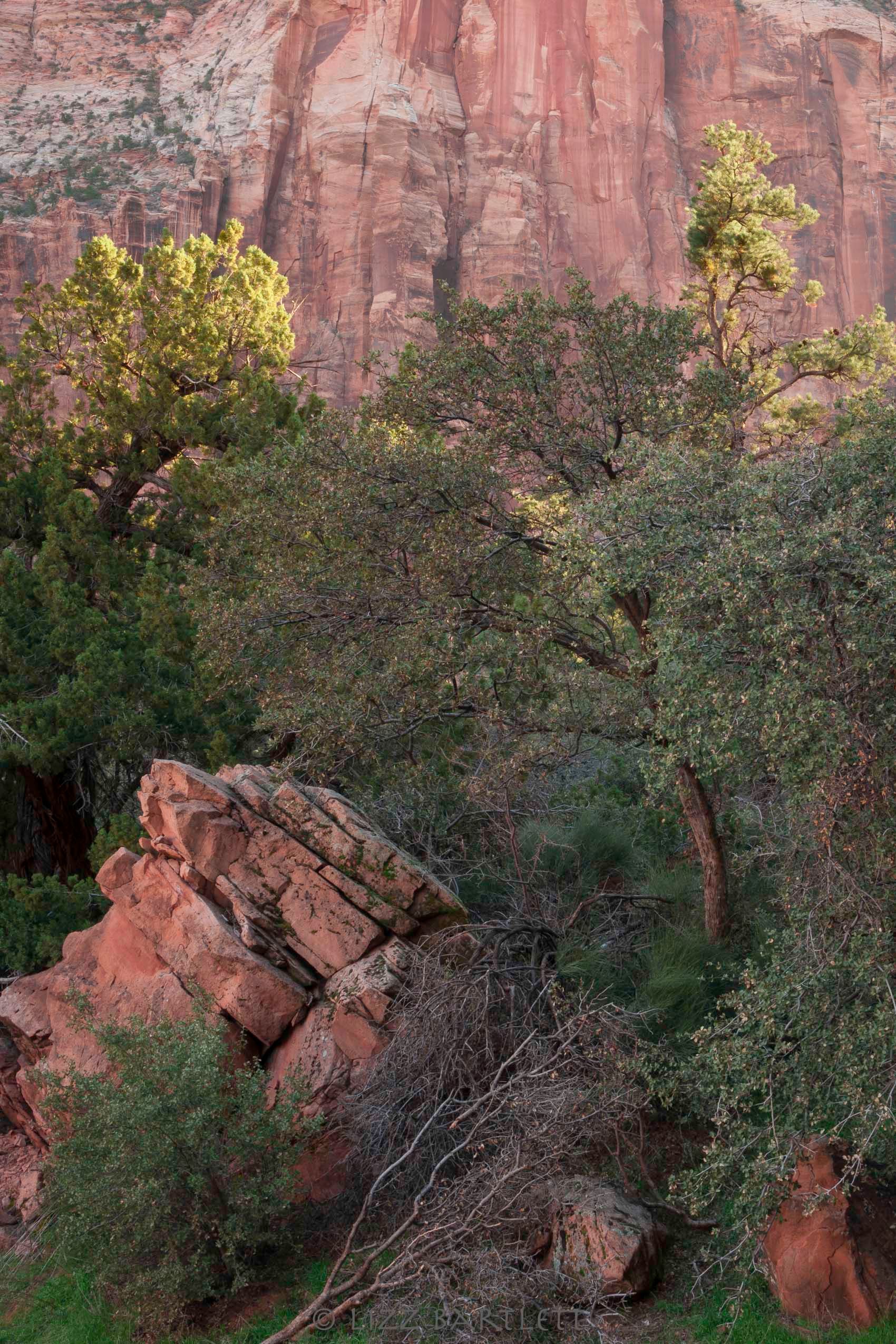 Morning Near the Tunnel.jpg