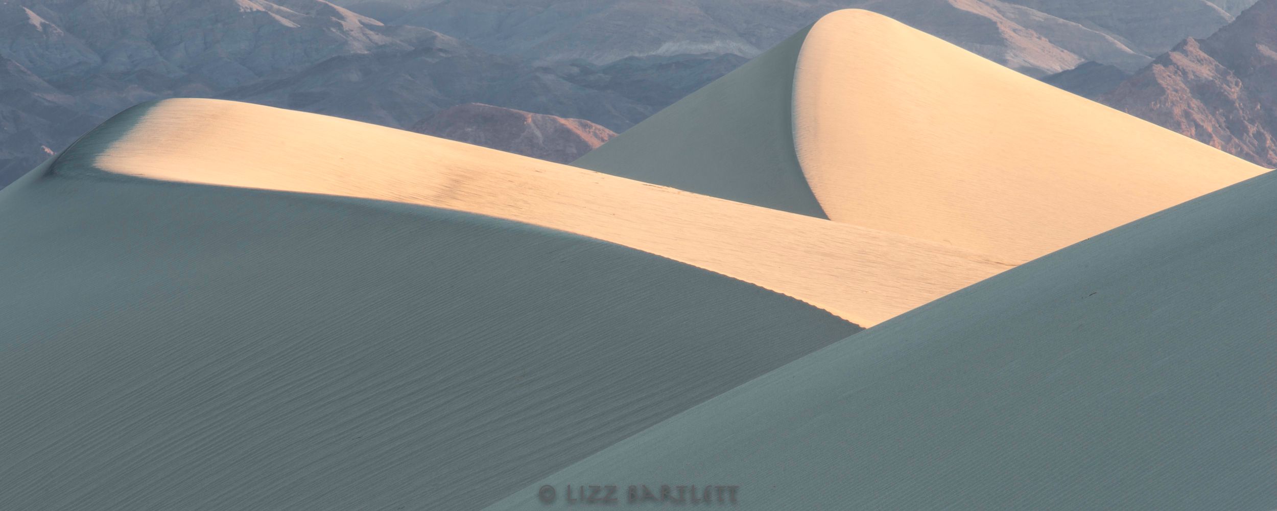 Mesquite Sunrise.jpg