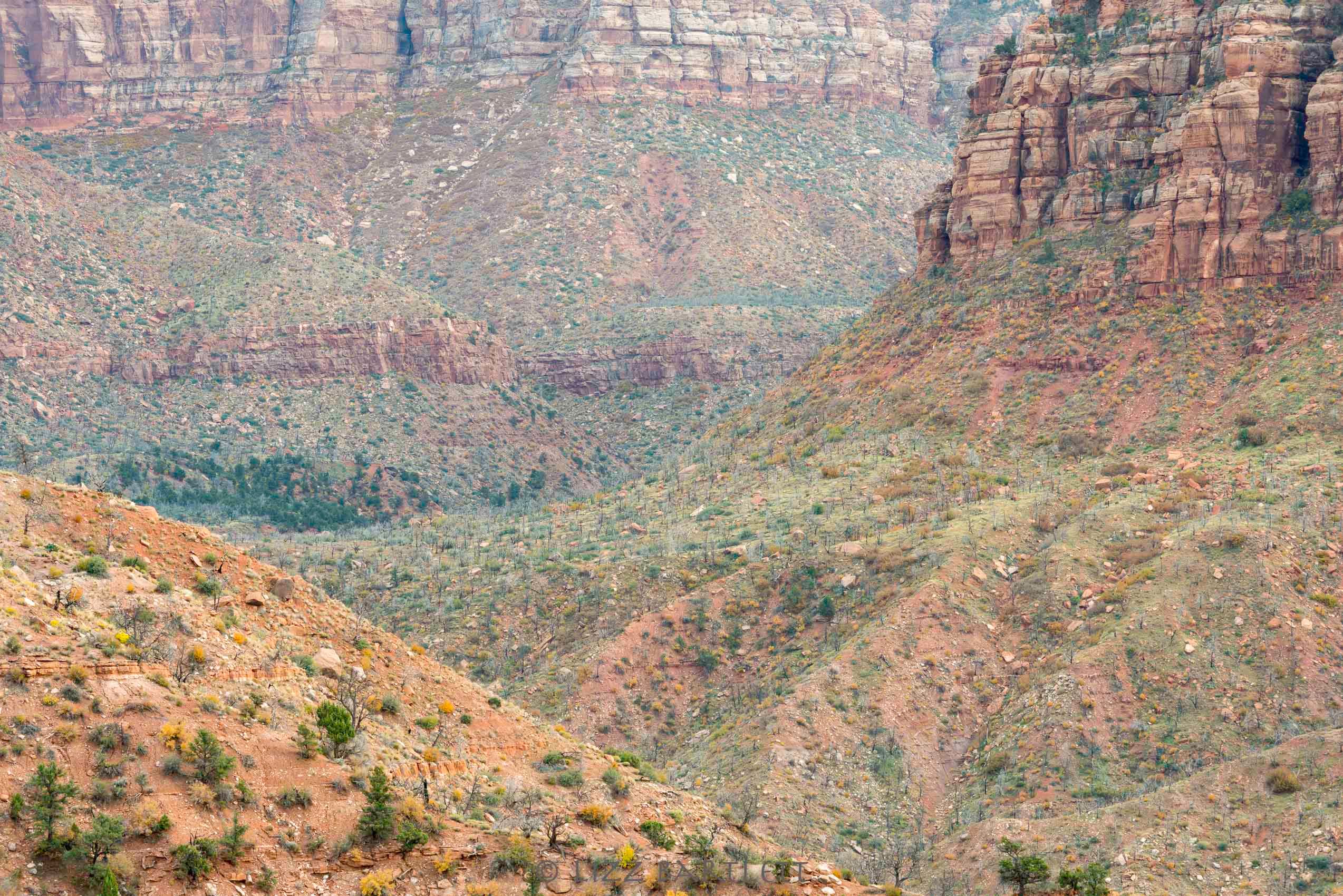 Zion Canyon Country.jpg