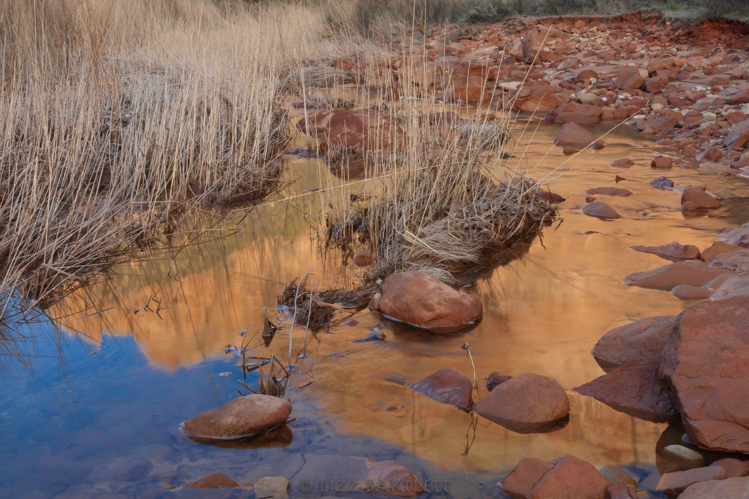 Sunrise Reflections.jpg