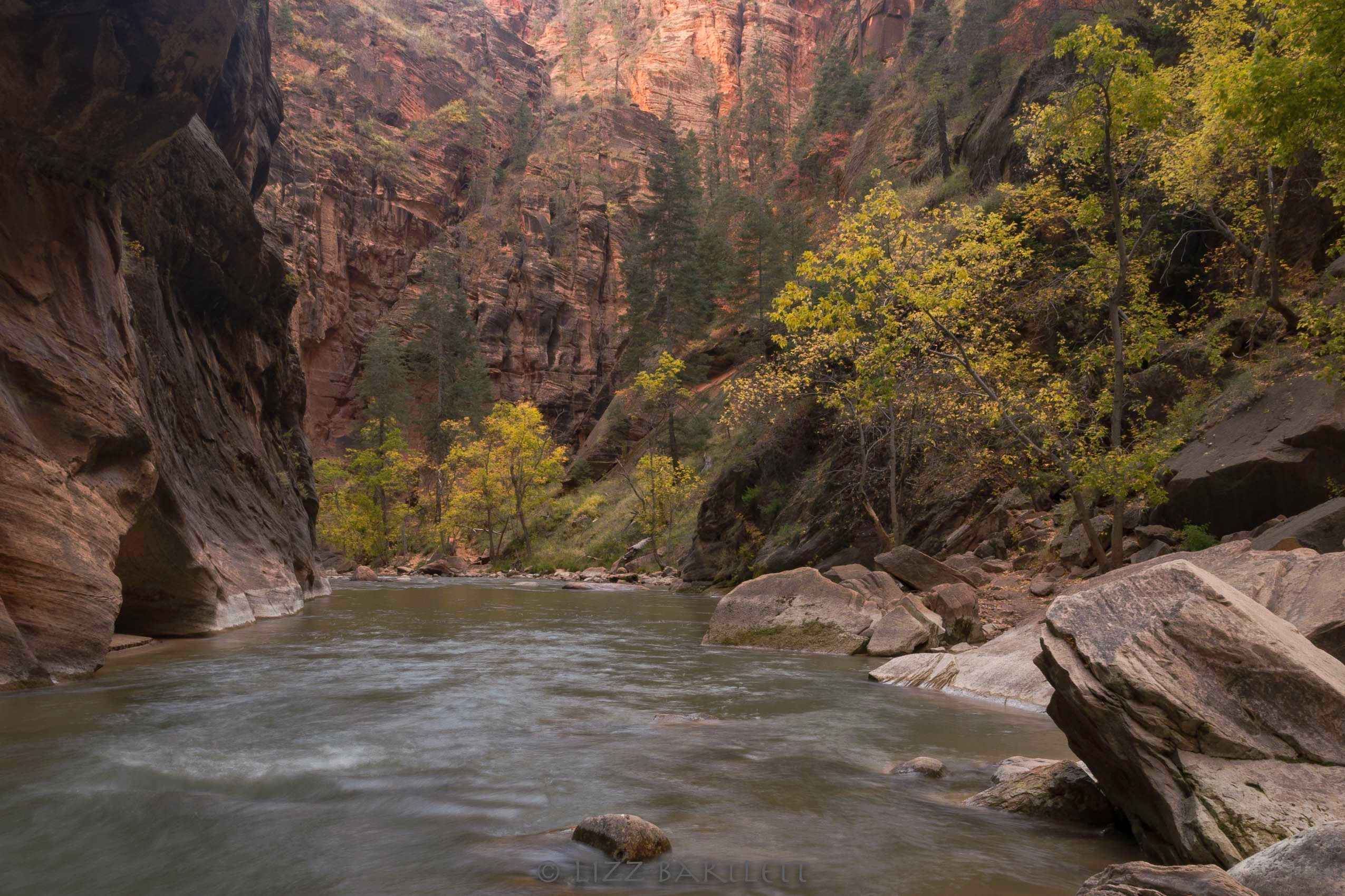 Virgin River Narrows1.jpg