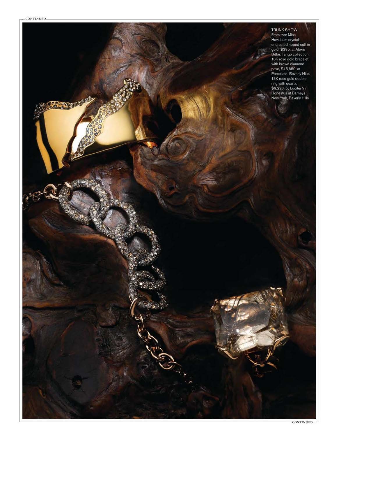 Natural Selection 2.jpg