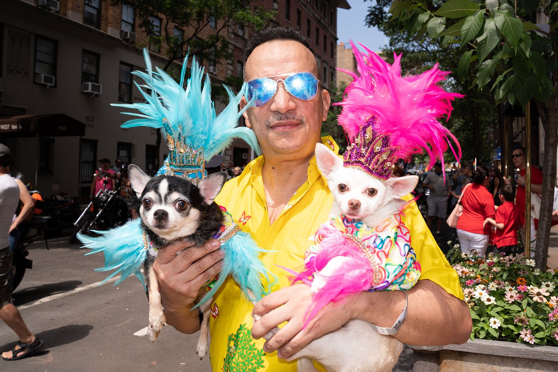 Street photography, 2018.