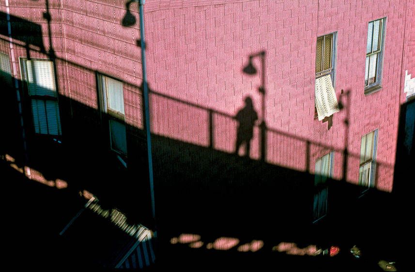 Self Portrait on a Pink Background, New York, NY  1981