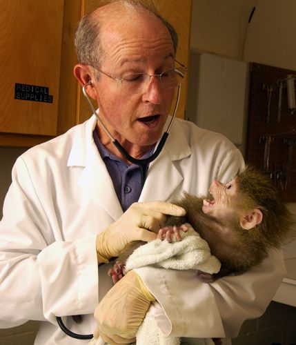 Scientist and Baboon Baby