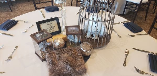 Owl, etc.