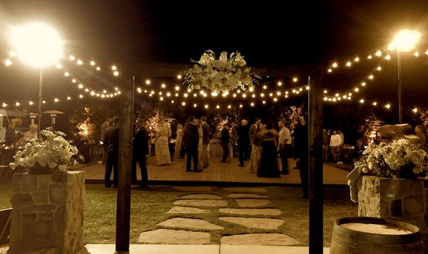 Wedding in the Orchard