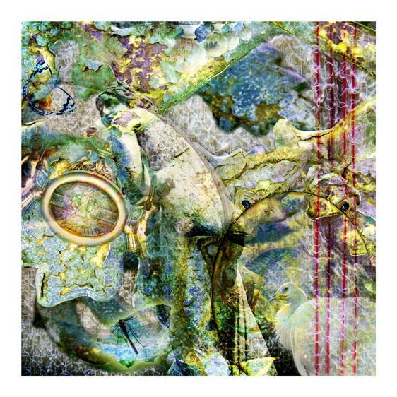 1gracious_lady_04082012