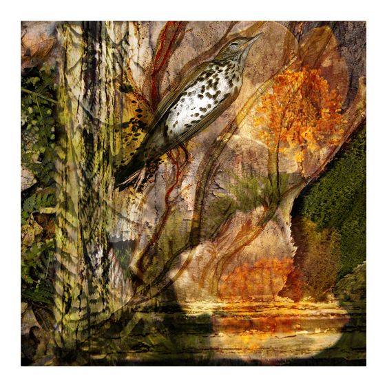 1ariel_imprint_07052012