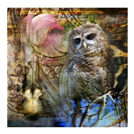 1hunted_hunter_07172012__1_