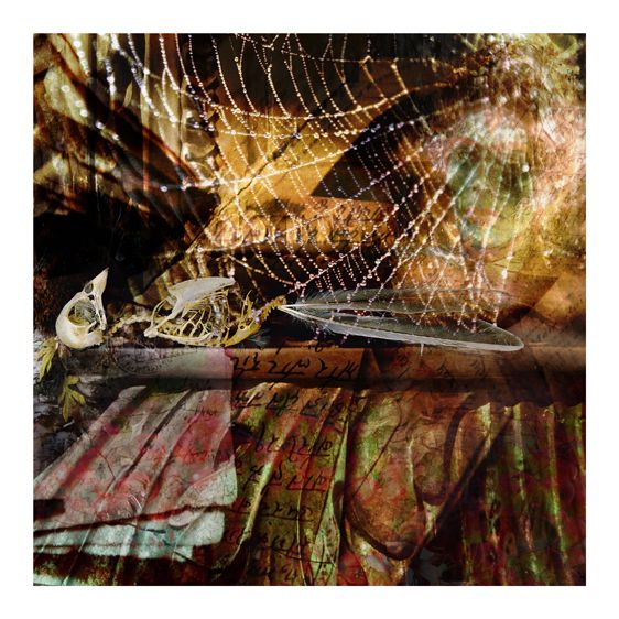 1a_resting_suspension_02282012