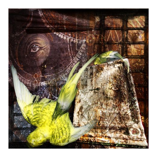 1simone_01202010__1_