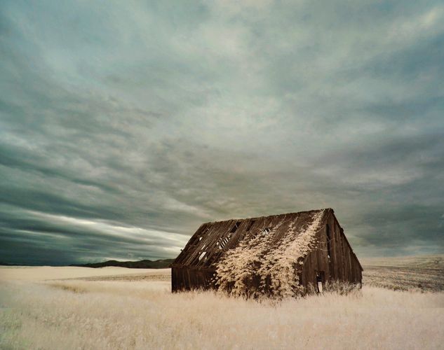 1treillage_dwelling_4