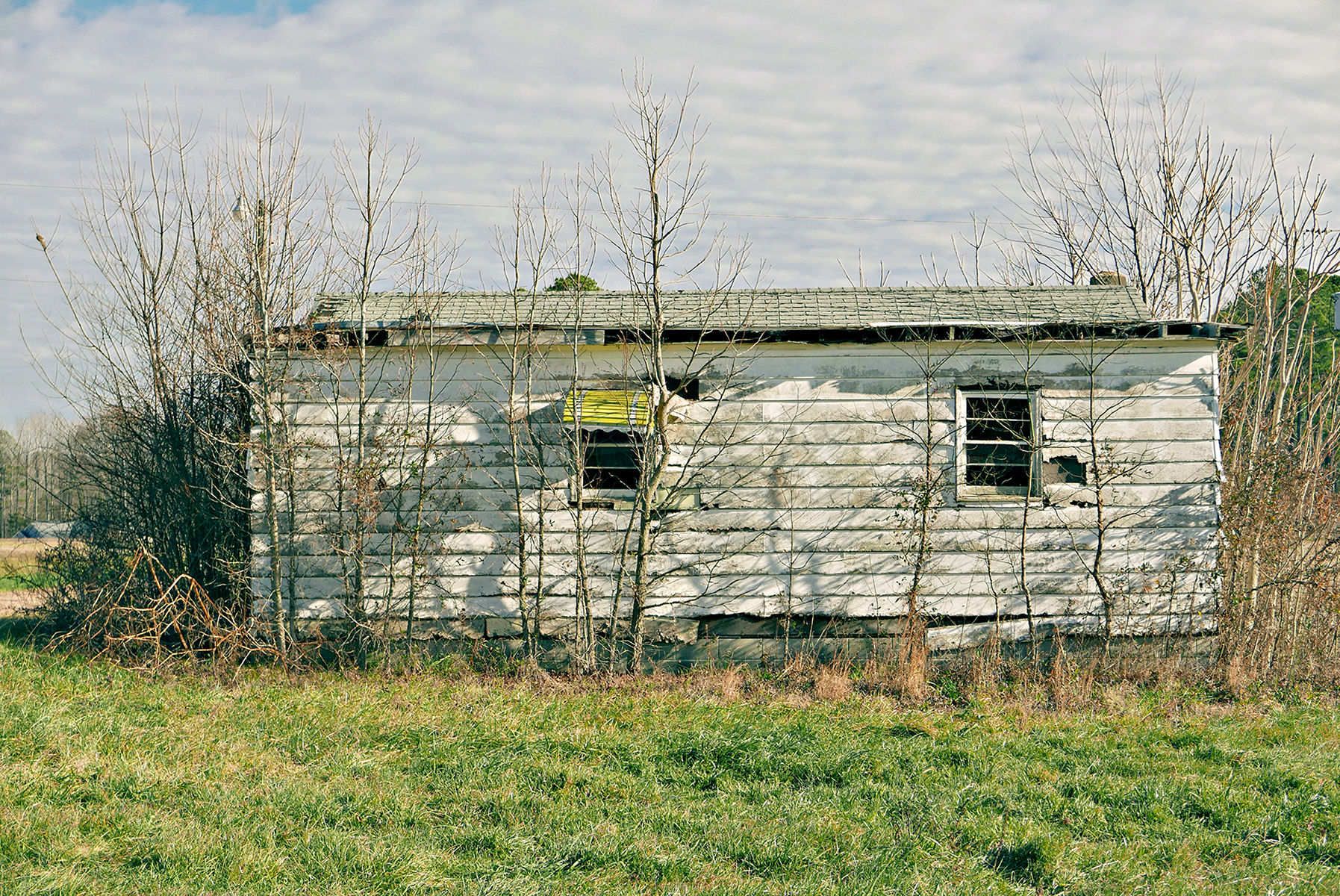 1live_awning346_pxcool