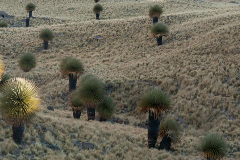 Landscapes and Cityscapes