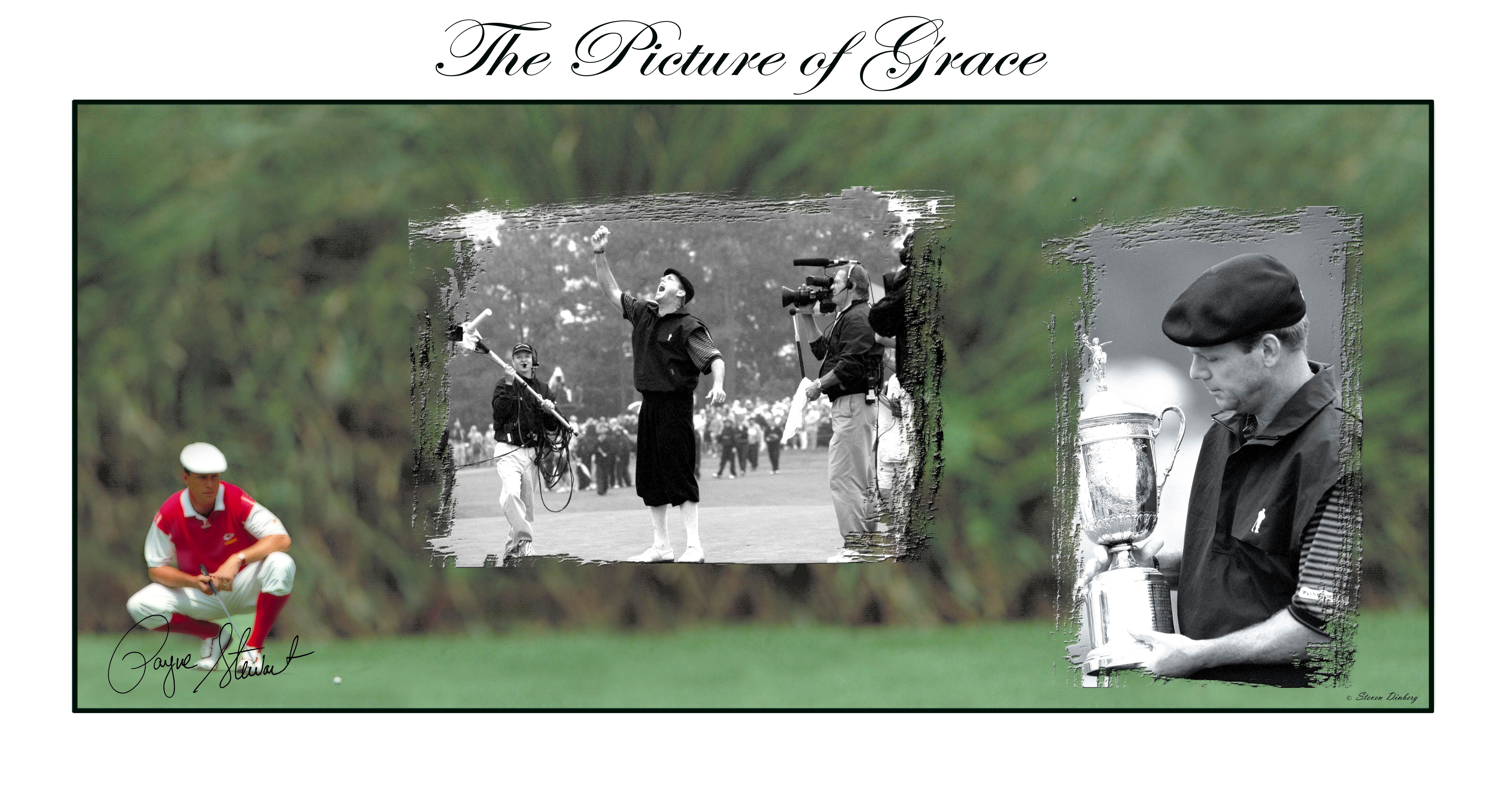 "The Picture Of Grace"