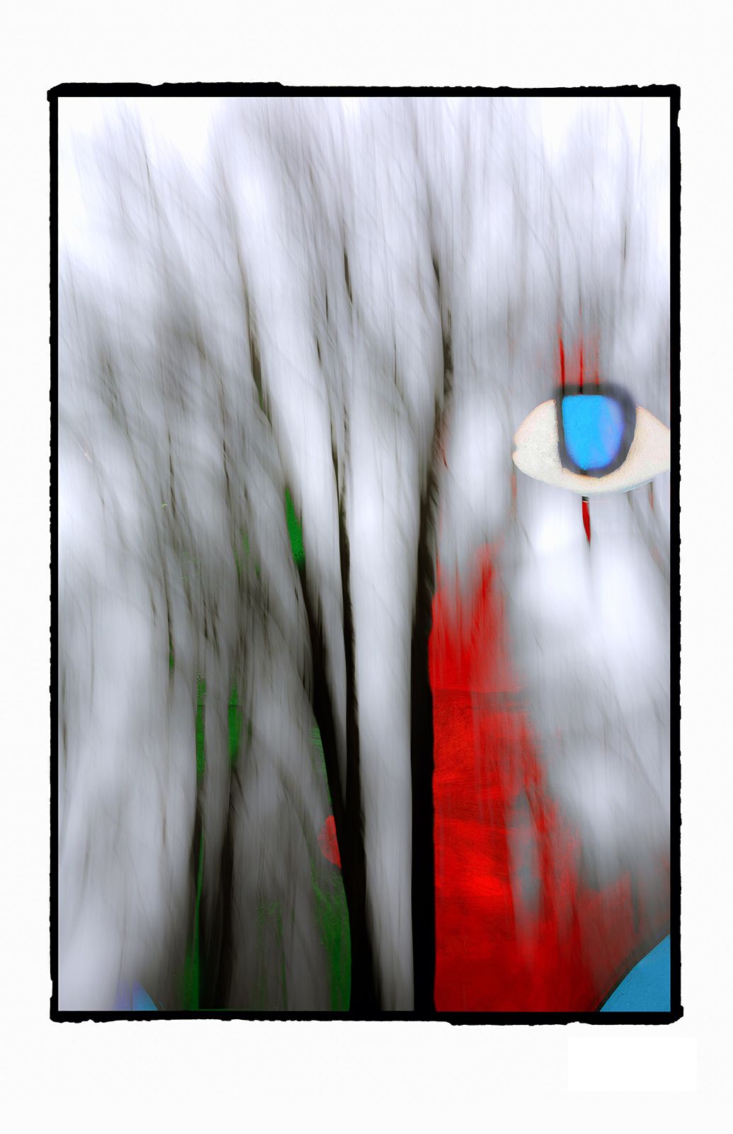 "Eye In The Sky".0376 copy.jpg