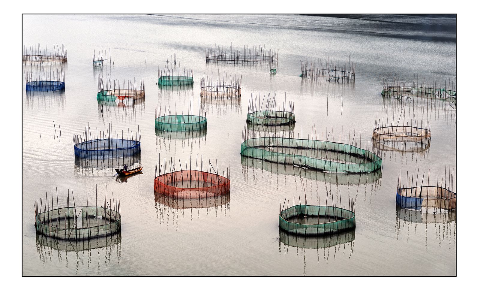 "Silent Harvest".jpg