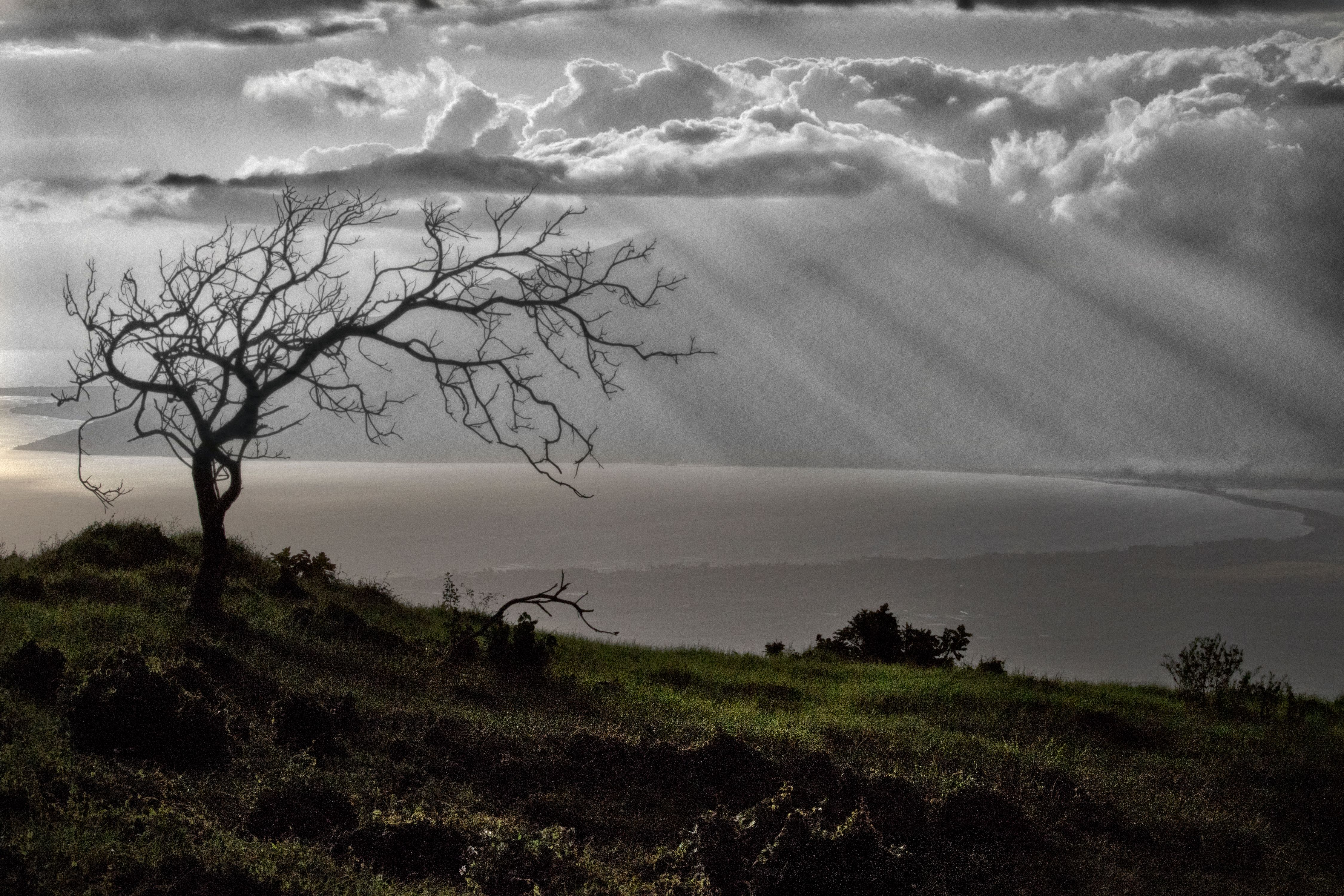 Maui-Landscapes1179.jpg