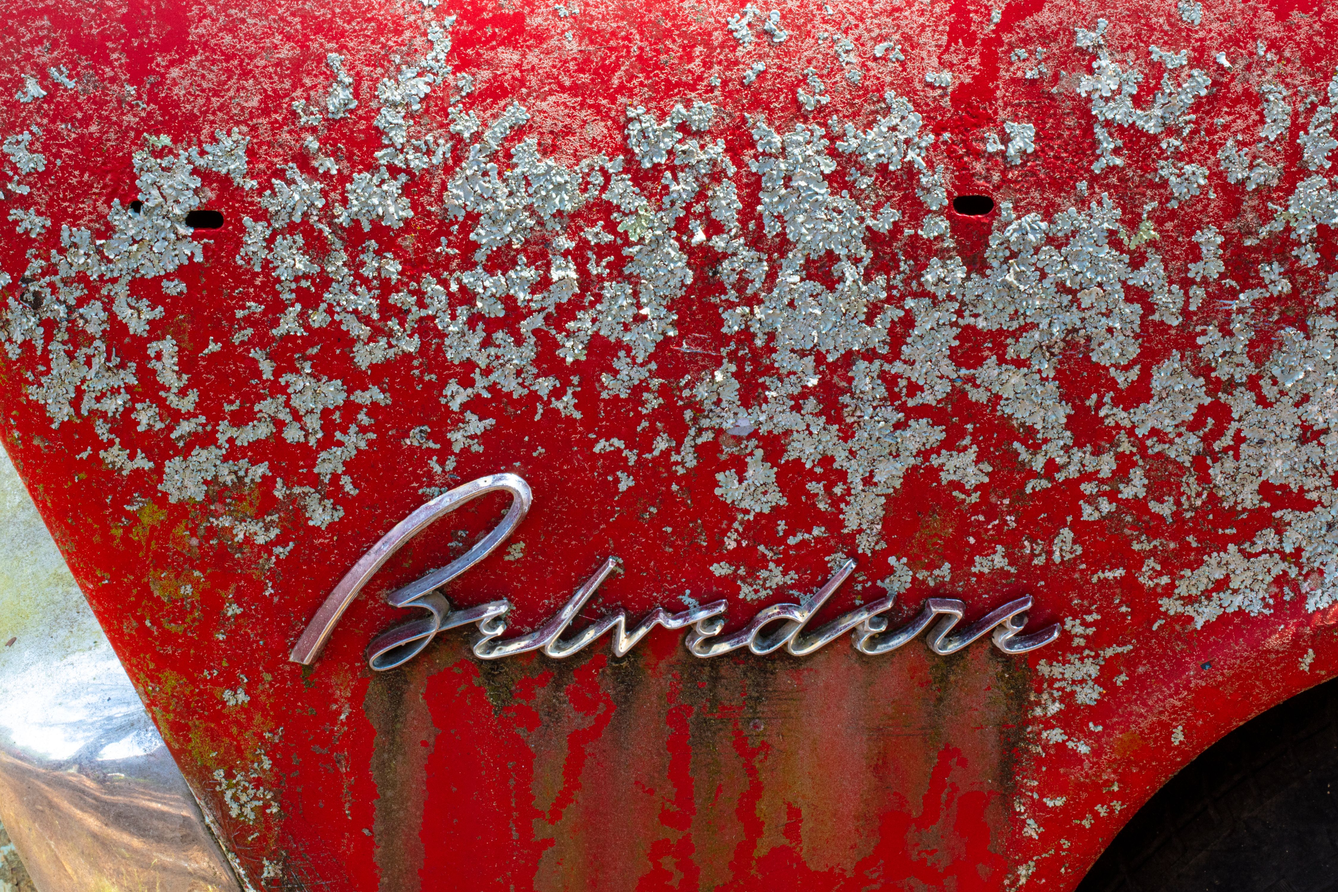 Old Car City0383.jpg