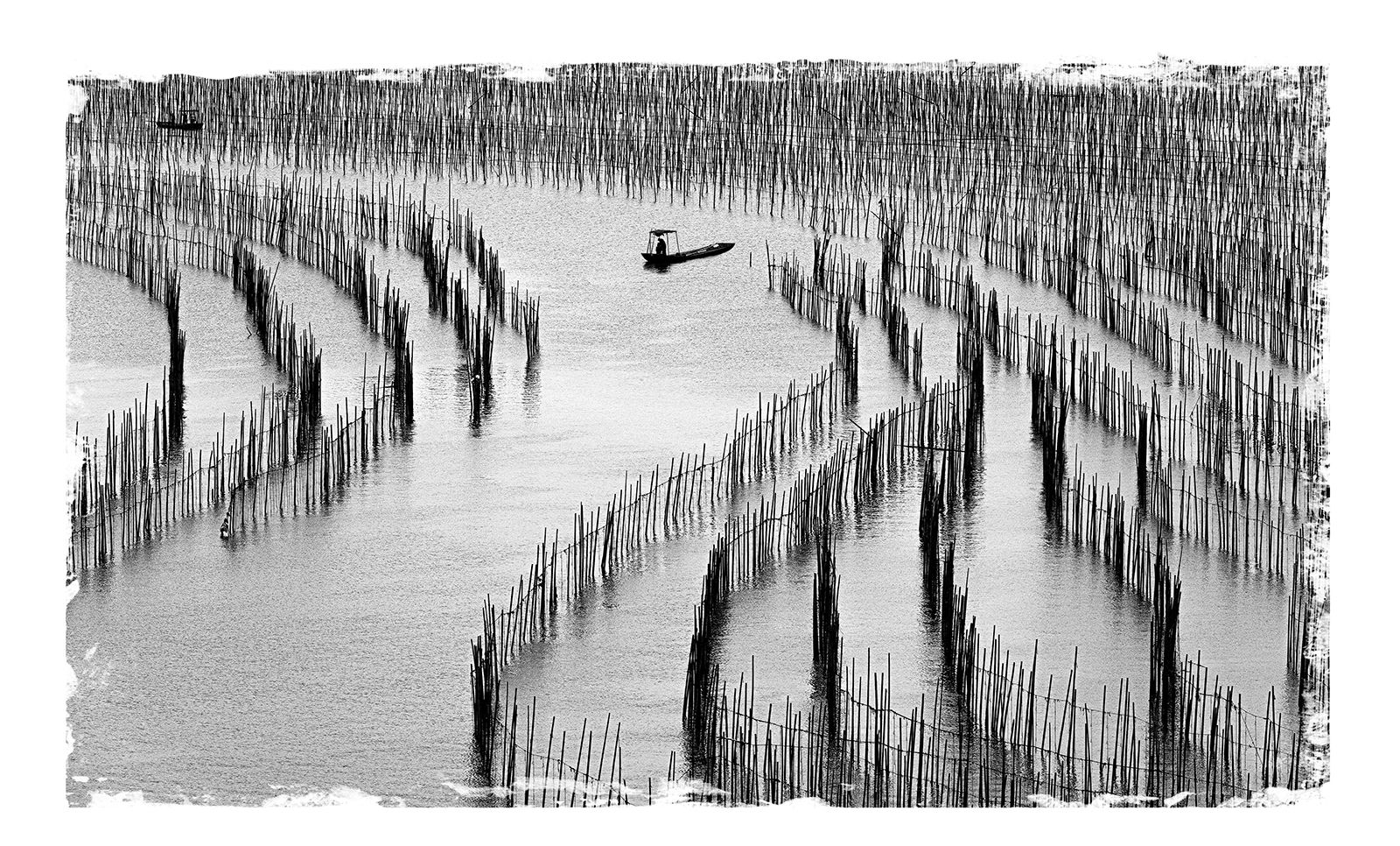 "The Fisherman's Path".jpg