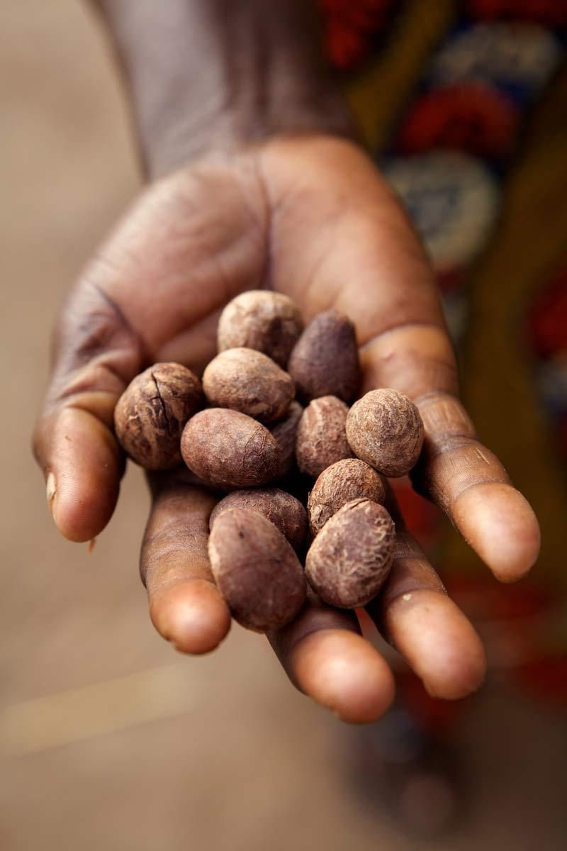 Lily Cole's Visit to Ghana