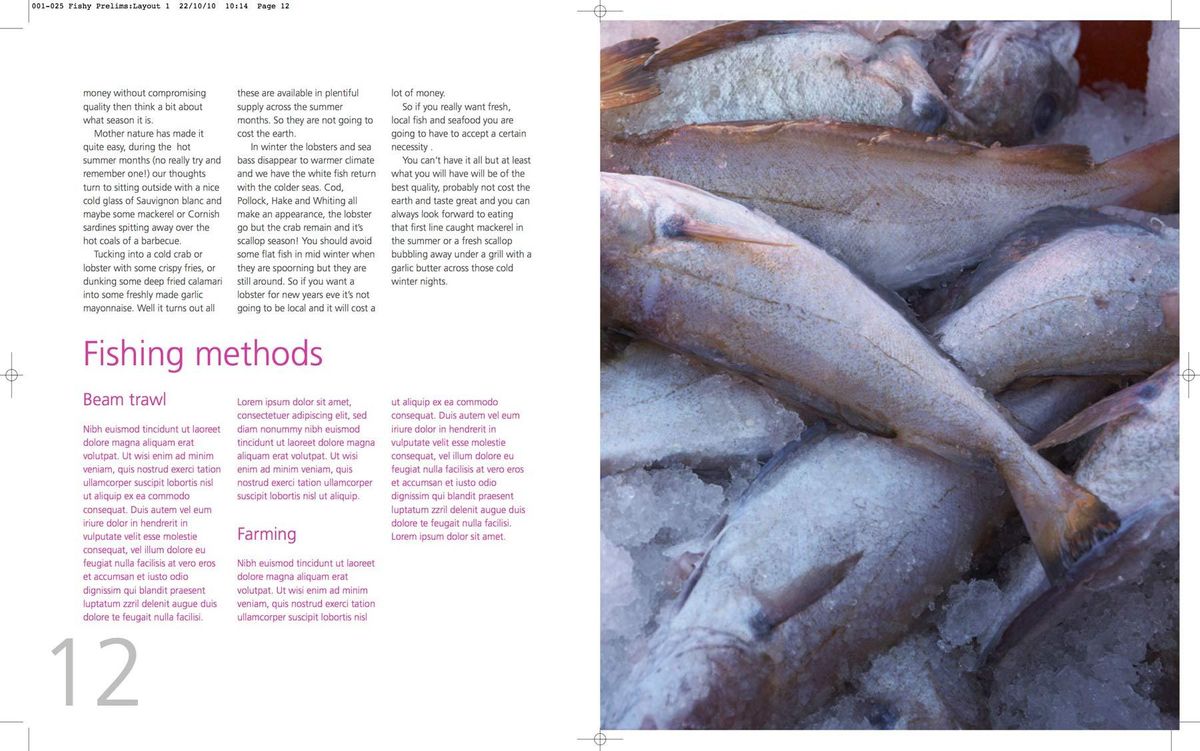 106_001_025_fishy_prelims