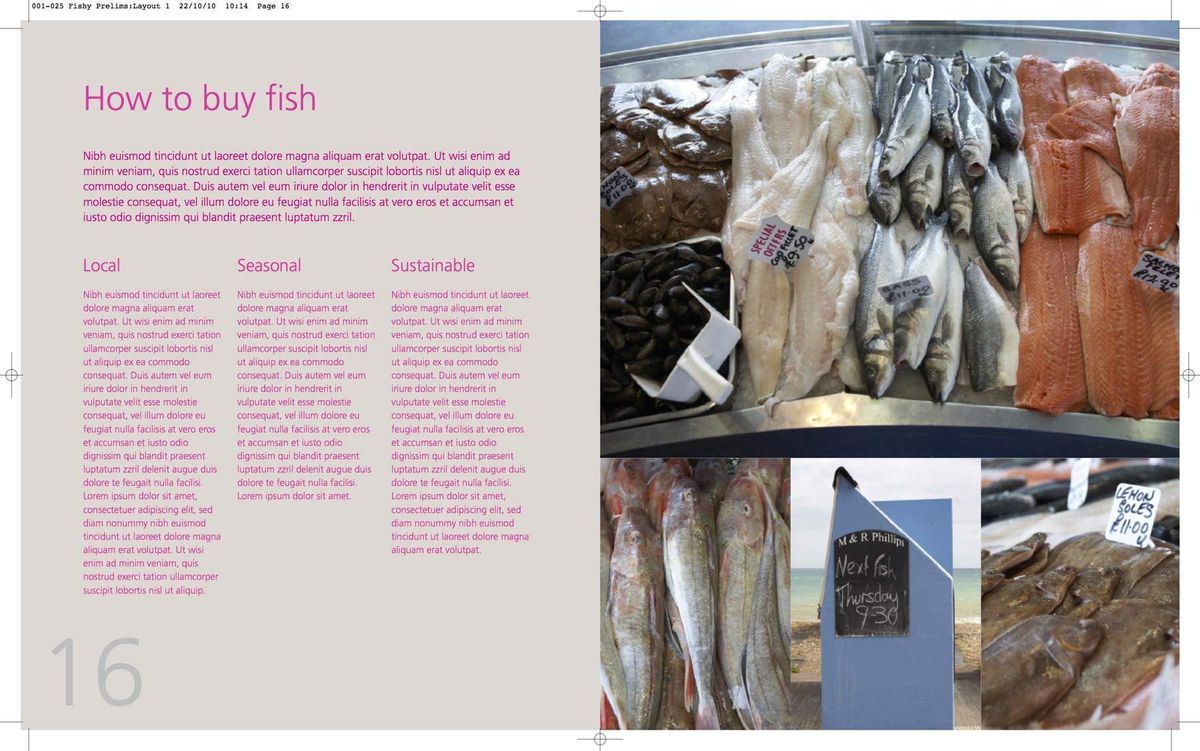 107_001_025_fishy_prelims