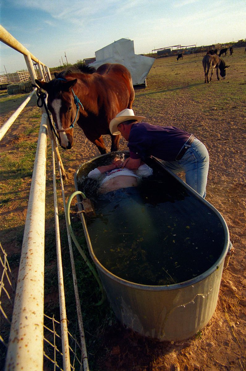 Baptism Cowboy style! - Pastor Monty Price baptises Shaun by full immersion in his horses' drinking trough.© Hazel Thompson Modern Crusaders