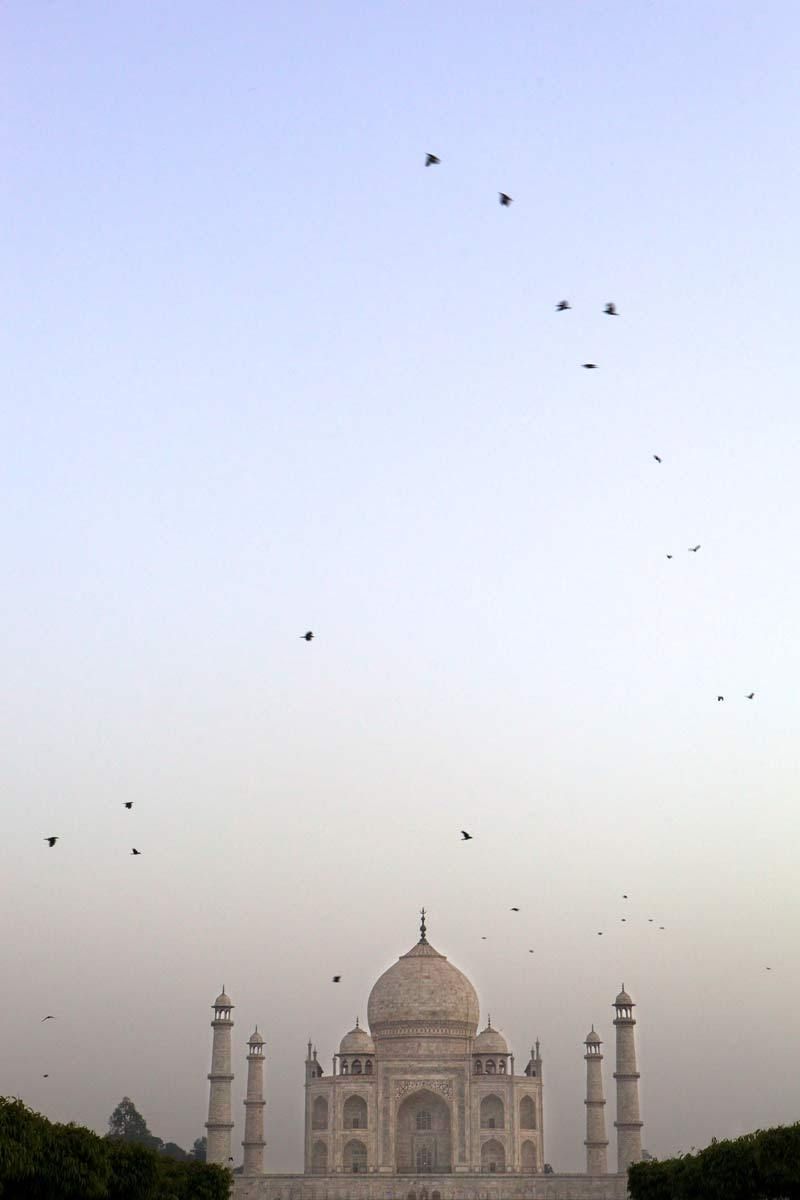 India - Rajasthan, Taj Mahal