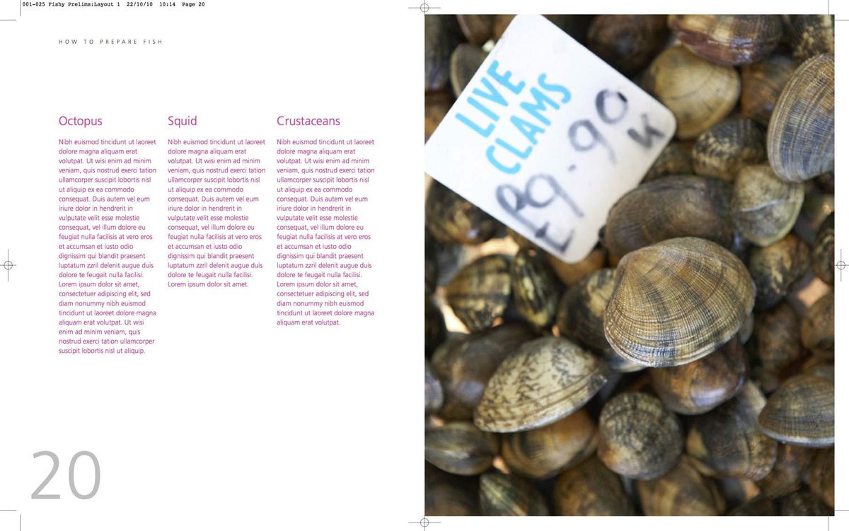 108_001_025_fishy_prelims