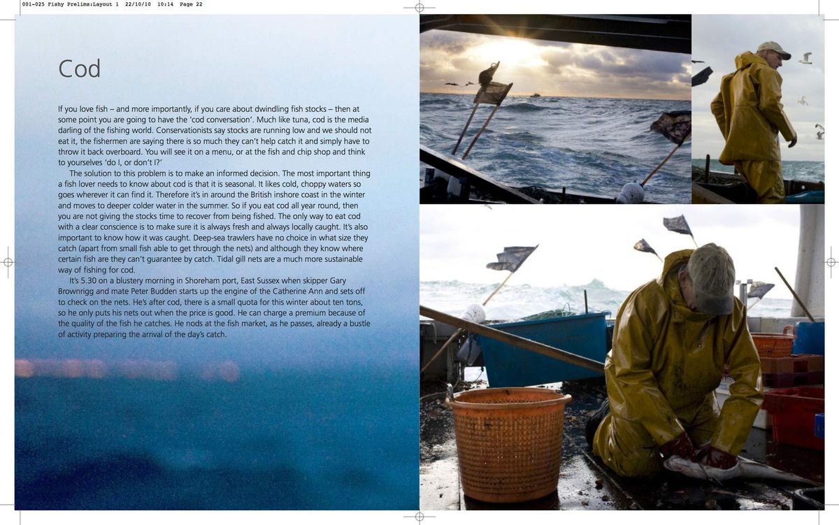 109_001_025_fishy_prelims