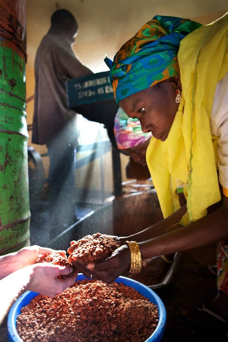 Lily Cole's Visit to Ghana