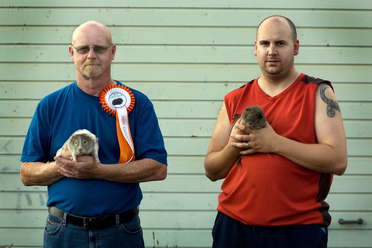© Hazel Thompson 
Guinea Pig Owners
Cavey Fancy The Owners and their fancy