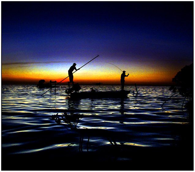 Flamingo Cay, Bahamas
