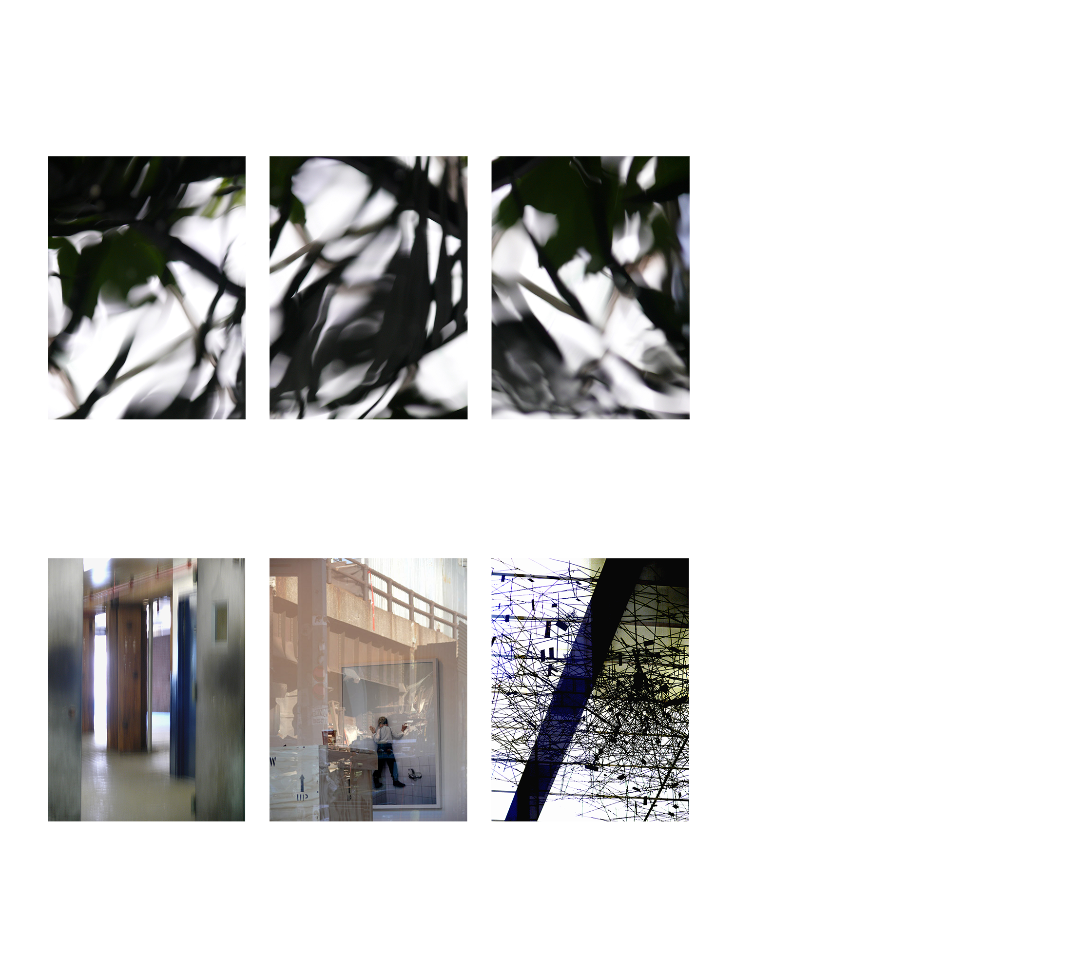 f7w. CURATED GROUP EXHIBITIONS 2008-F.png