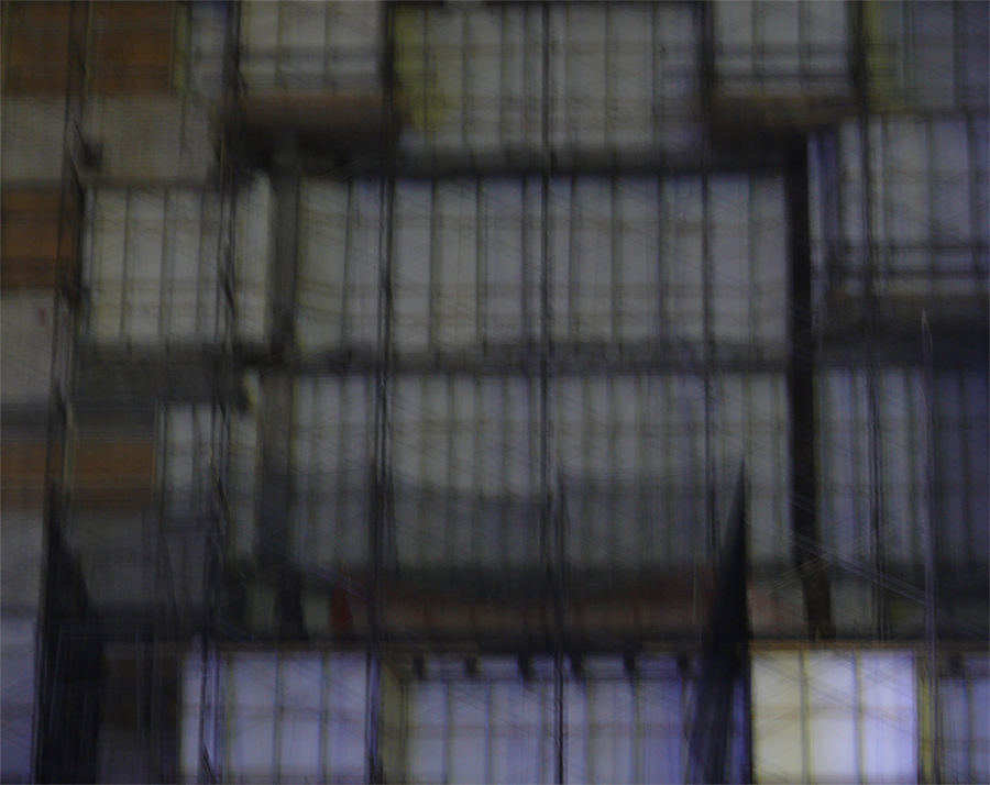 12. RANDALL_L1100844_c+ro_web.png
