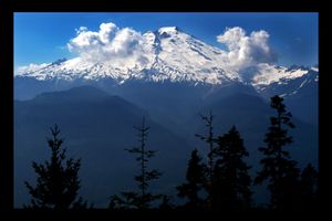 23_0_272_1baker___trees.jpg