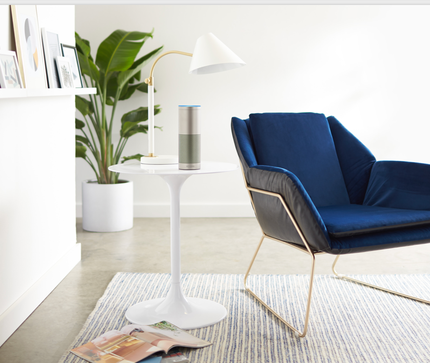 Screen Shot 2020-11-13 at 4.58.17 PM copy.png