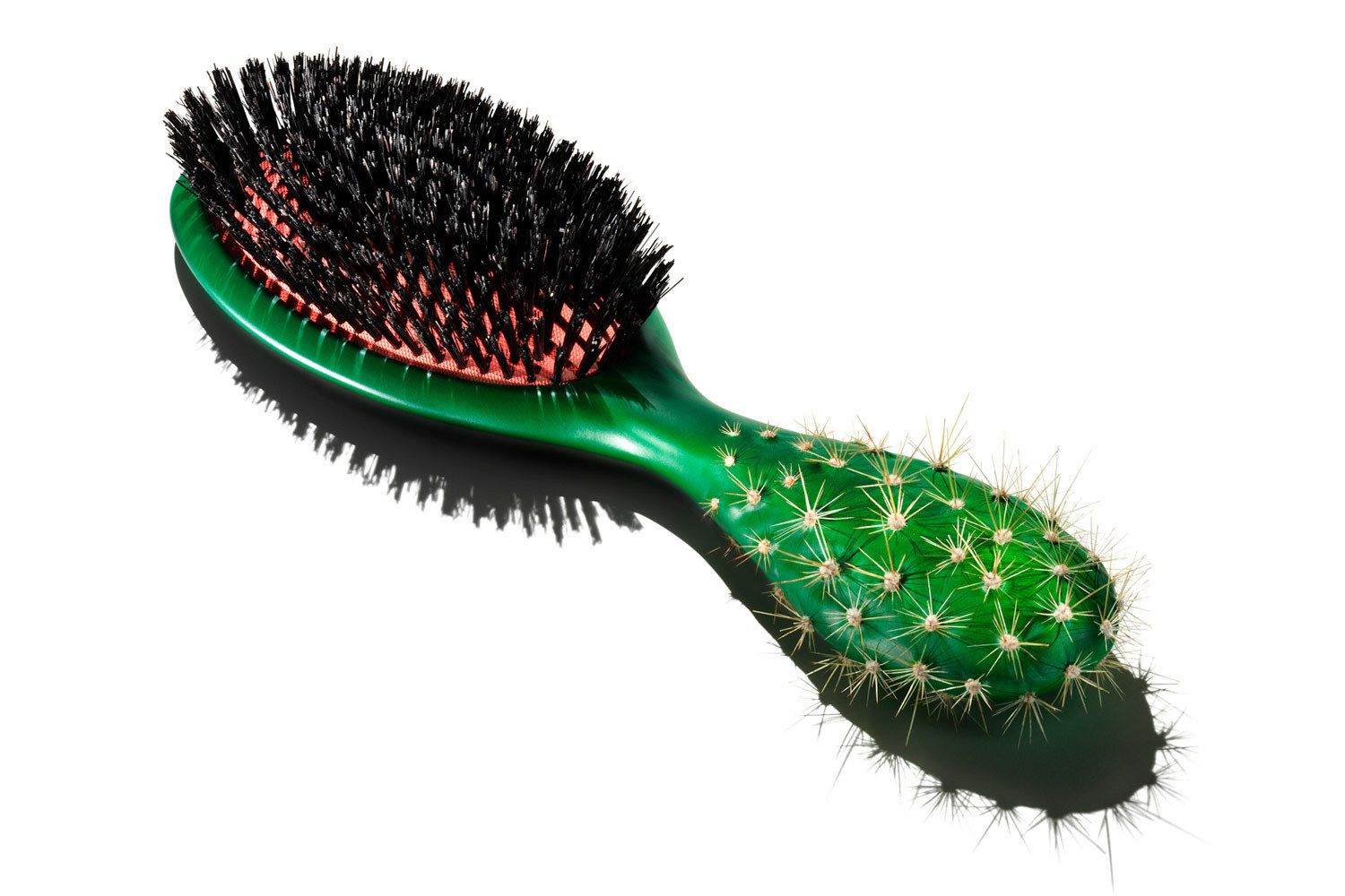 1cactus_hairbrush.jpg