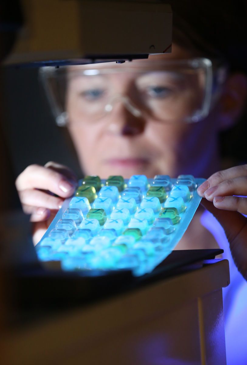 1haugesund_expro_014