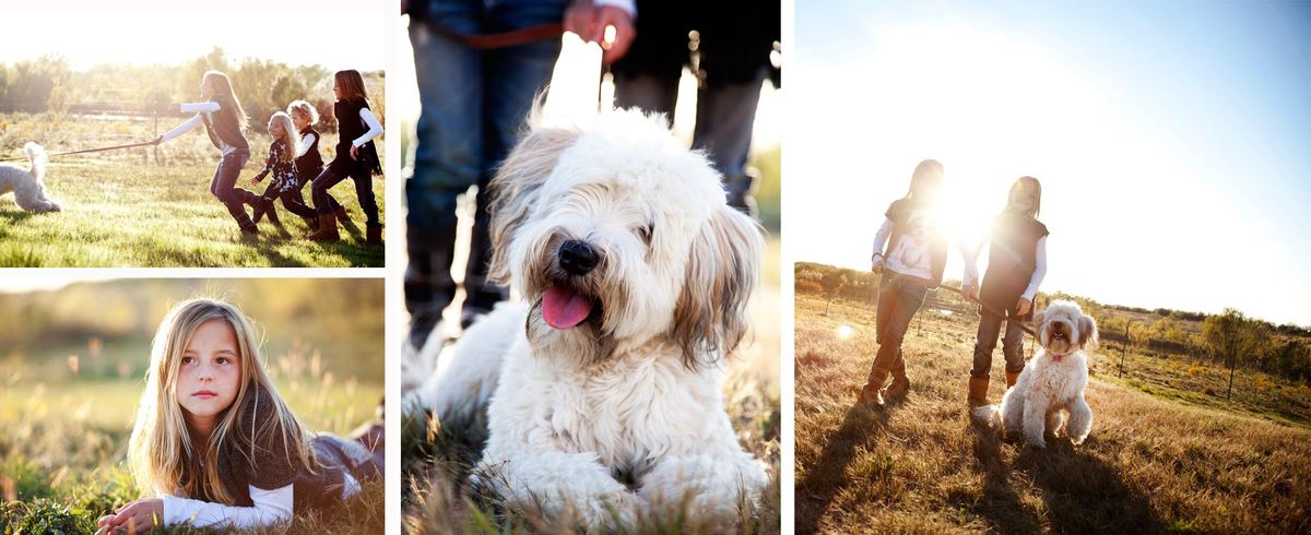 Untitled-3 copy copy.jpg