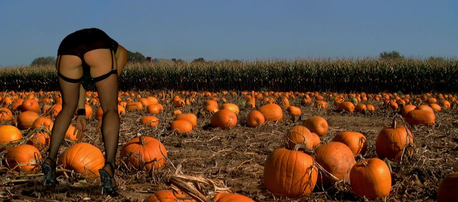 The Pumpkins Picker.