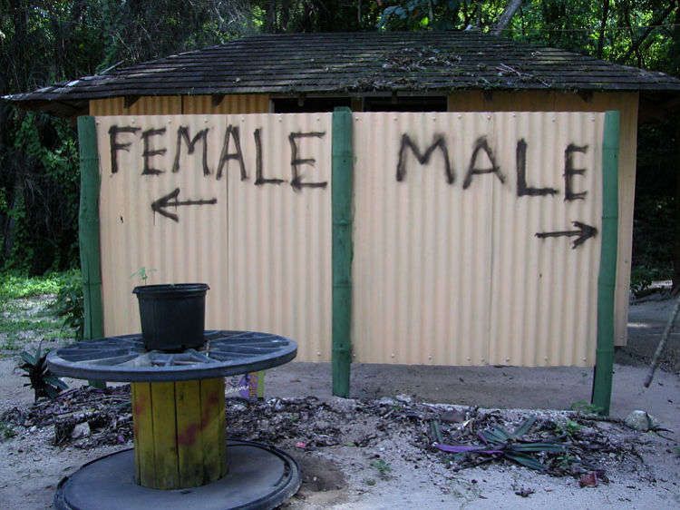 1dscn9601male_female