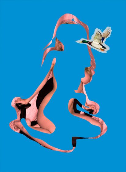 "Birds of Color_blue"