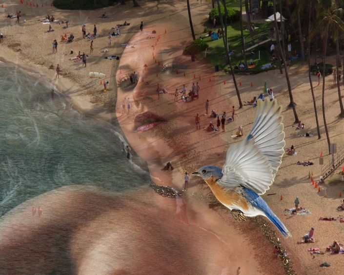 "The Beach_Hawaii_B"