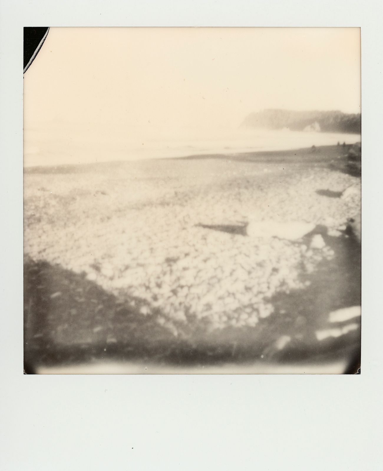 polaroid-0022d.JPG